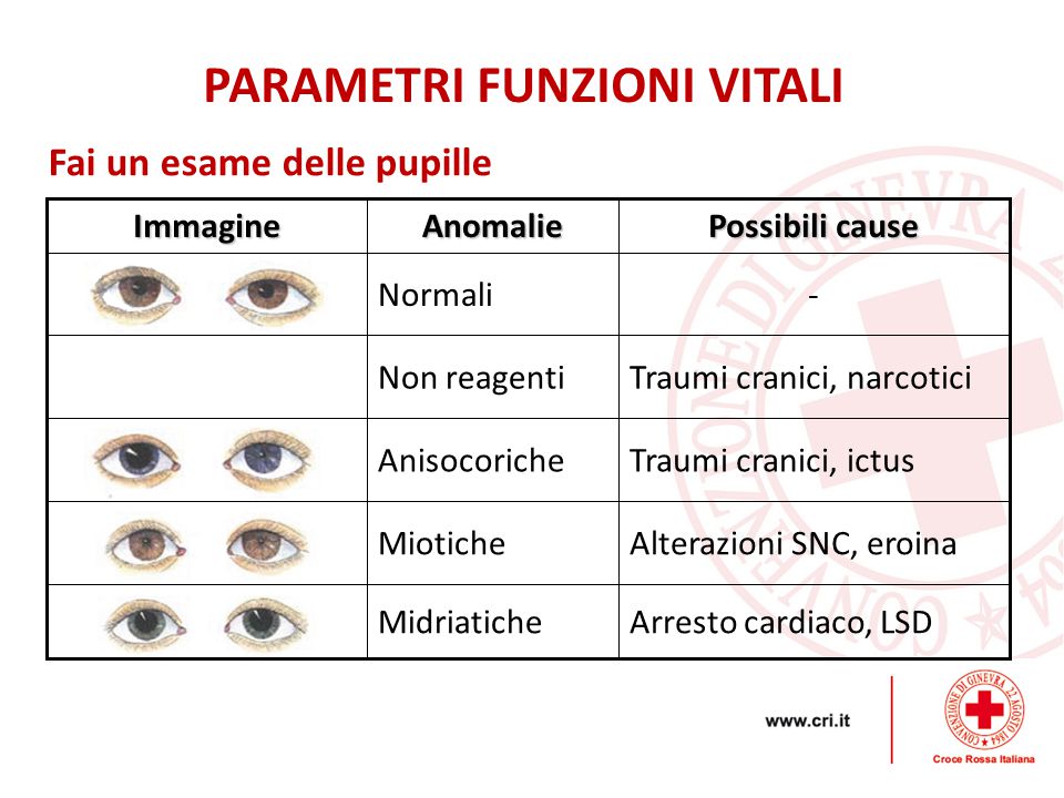 Parametri Vitali Modulo Lezione D Croce Rossa Italiana Ppt Scaricare